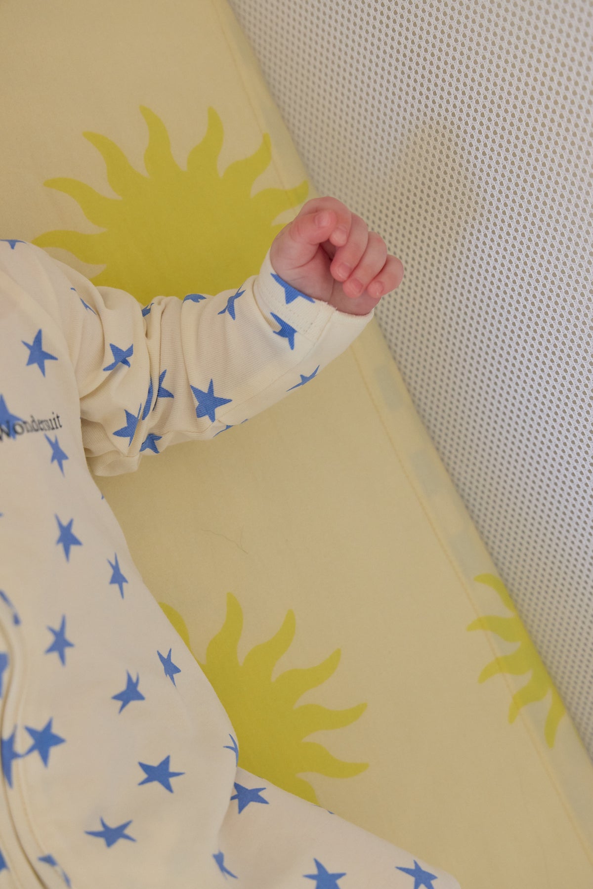 iL Tutto ZiZee Bassinet