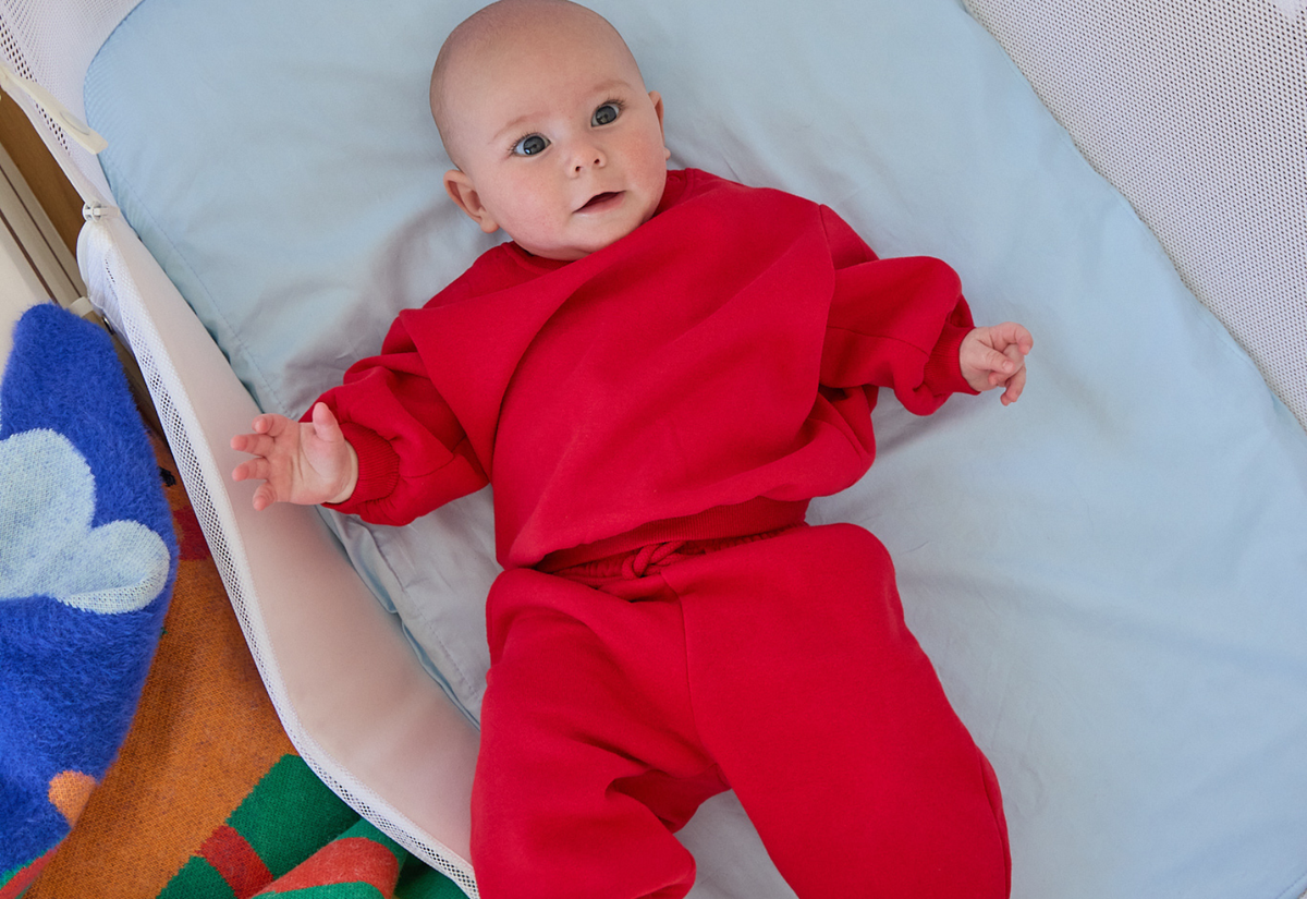 HALO BassiNest Swivel Sleeper